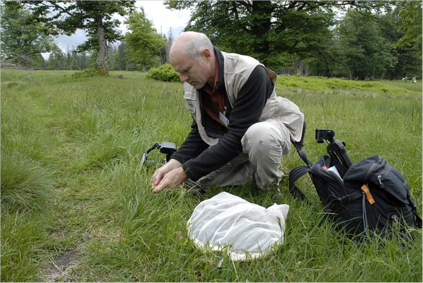 10. GEO-Tag im Nationalpark Bayerischer Wald - Bild 4