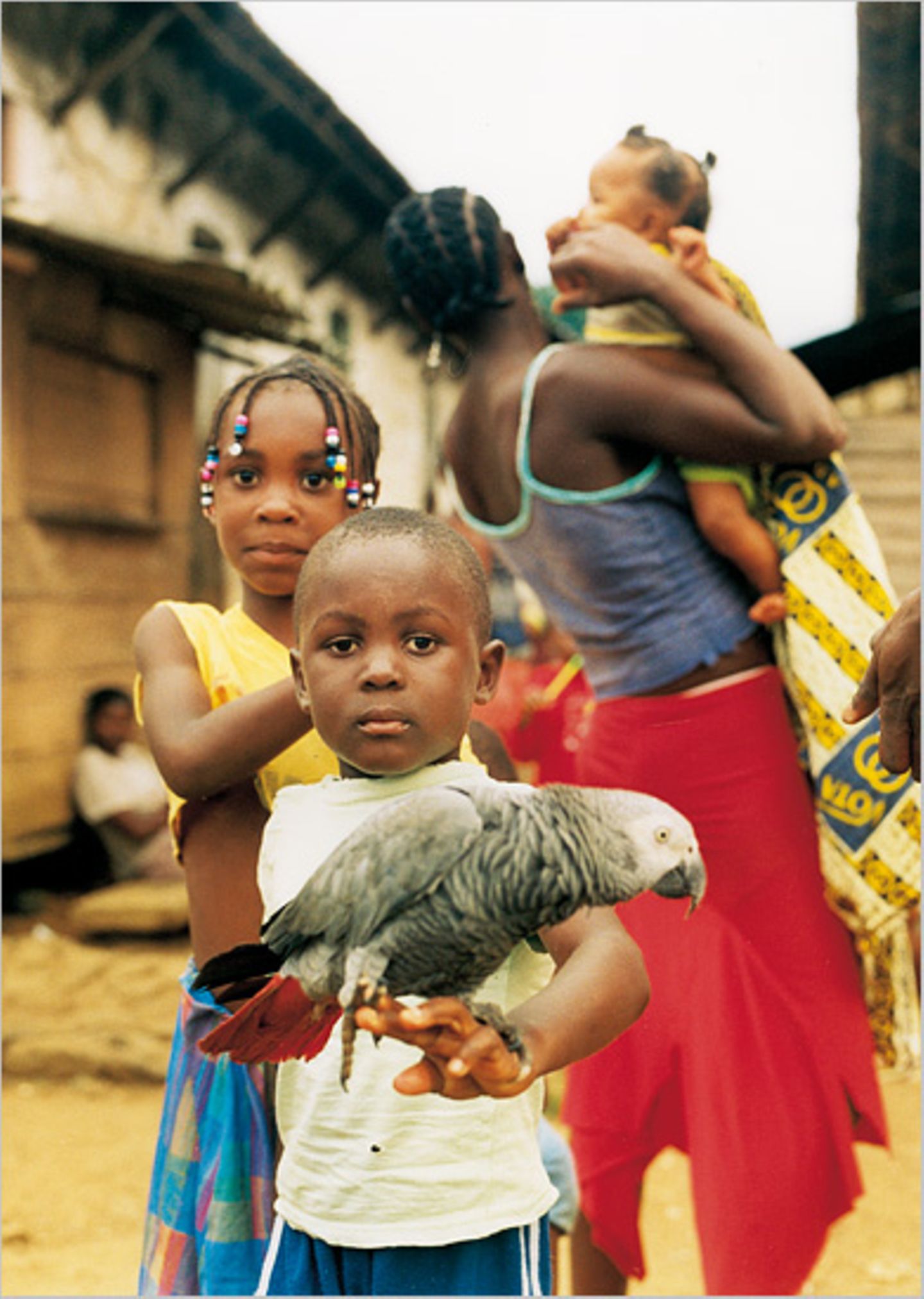 São Tomé & Príncipe: Inseln der Illusionen - Bild 6