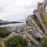 Die Liebe seines Lebens - Bild 4