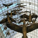 Kanadas Metropolen - Bild 2