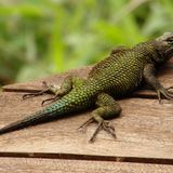 Das User-Foto des Tages - Juli 2008 - Bild 3