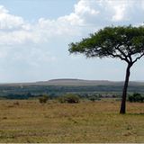 Das User-Foto des Tages - Juli 2008 - Bild 8