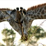 Das User-Foto des Tages - Juli 2008 - Bild 9