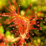 Das User-Foto des Tages - Juli 2008 - Bild 10