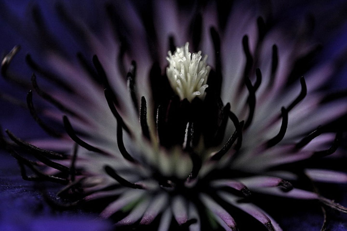 Das User-Foto des Tages - Juli 2008 - Bild 11
