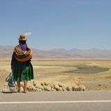 Das User-Foto des Tages - Juli 2008 - Bild 12