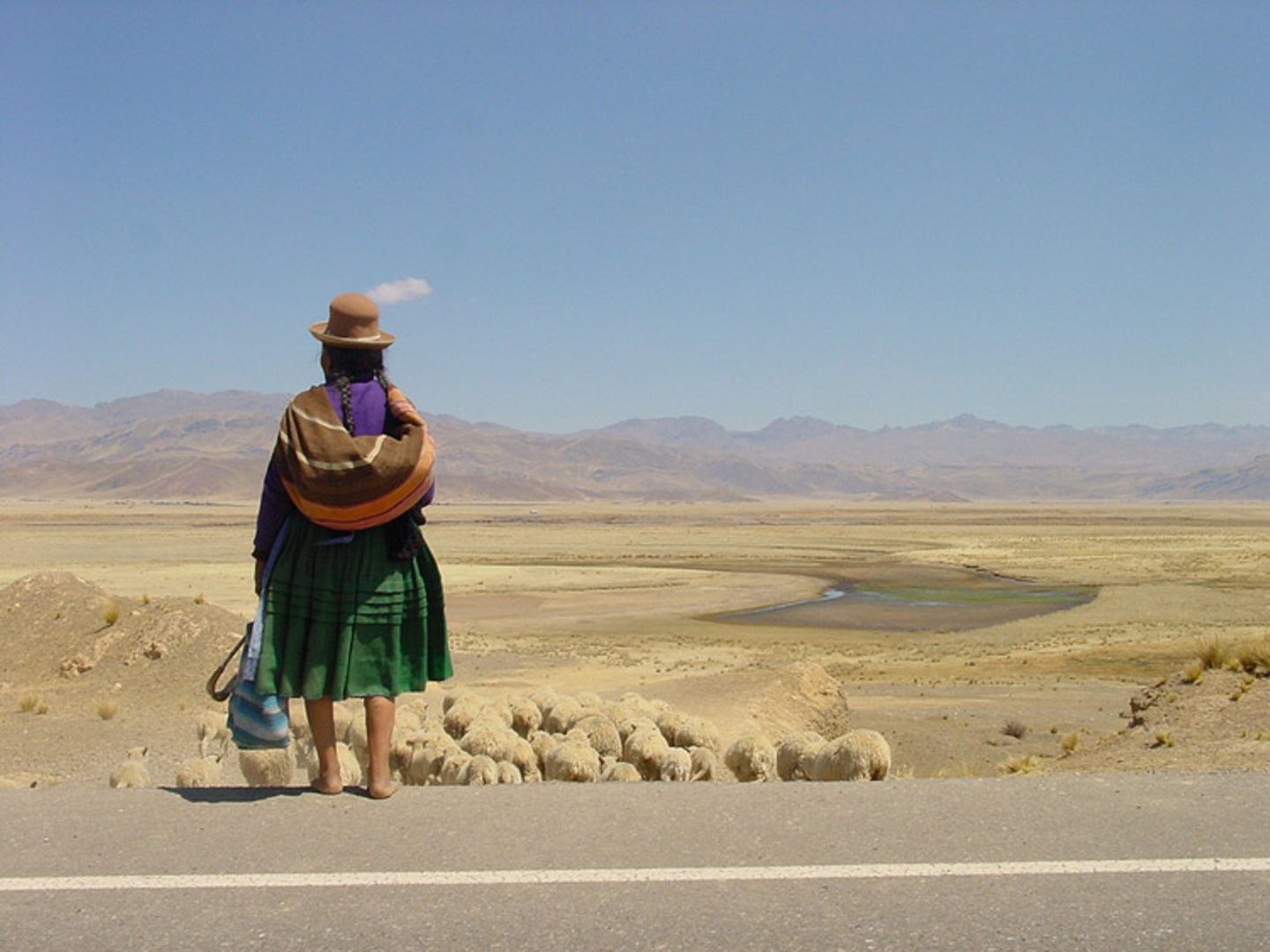 Das User-Foto des Tages - Juli 2008 - Bild 12