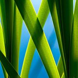 Das User-Foto des Tages - Juli 2008 - Bild 13