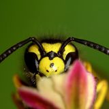 Das User-Foto des Tages - Juli 2008 - Bild 14