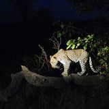 Das User-Foto des Tages - Juli 2008 - Bild 15