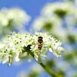 Das User-Foto des Tages - Juli 2008 - Bild 18