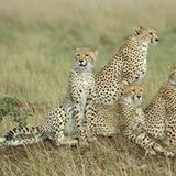 Das User-Foto des Tages - Juli 2008 - Bild 19