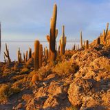 Das User-Foto des Tages - Juli 2008 - Bild 21