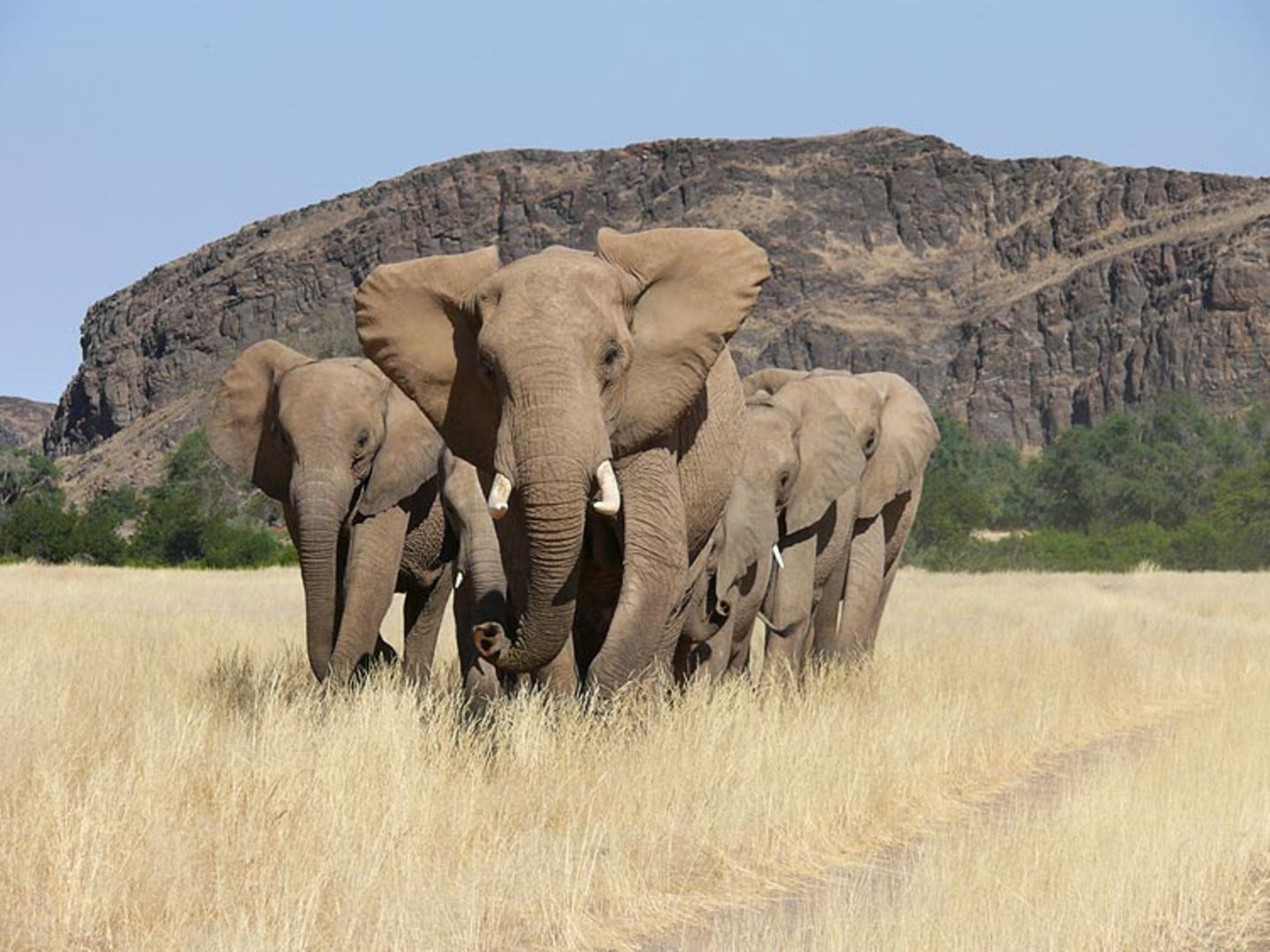 Fotogalerie: Namibias Wildnis - Bild 2