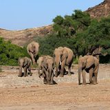 Fotogalerie: Namibias Wildnis - Bild 3