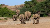 Fotogalerie: Namibias Wildnis - Bild 3