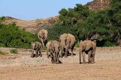 Fotogalerie: Namibias Wildnis - Bild 3