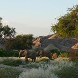 Fotogalerie: Namibias Wildnis - Bild 4