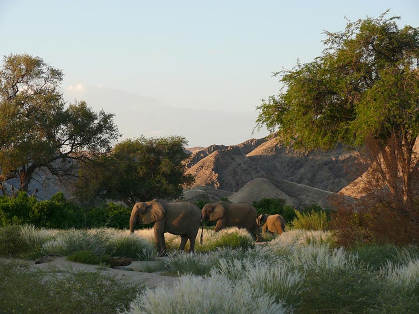 Fotogalerie: Namibias Wildnis - Bild 4