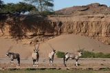 Fotogalerie: Namibias Wildnis - Bild 5