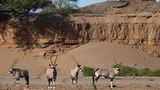 Fotogalerie: Namibias Wildnis - Bild 5