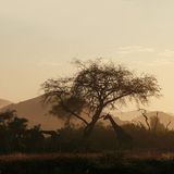 Fotogalerie: Namibias Wildnis - Bild 6