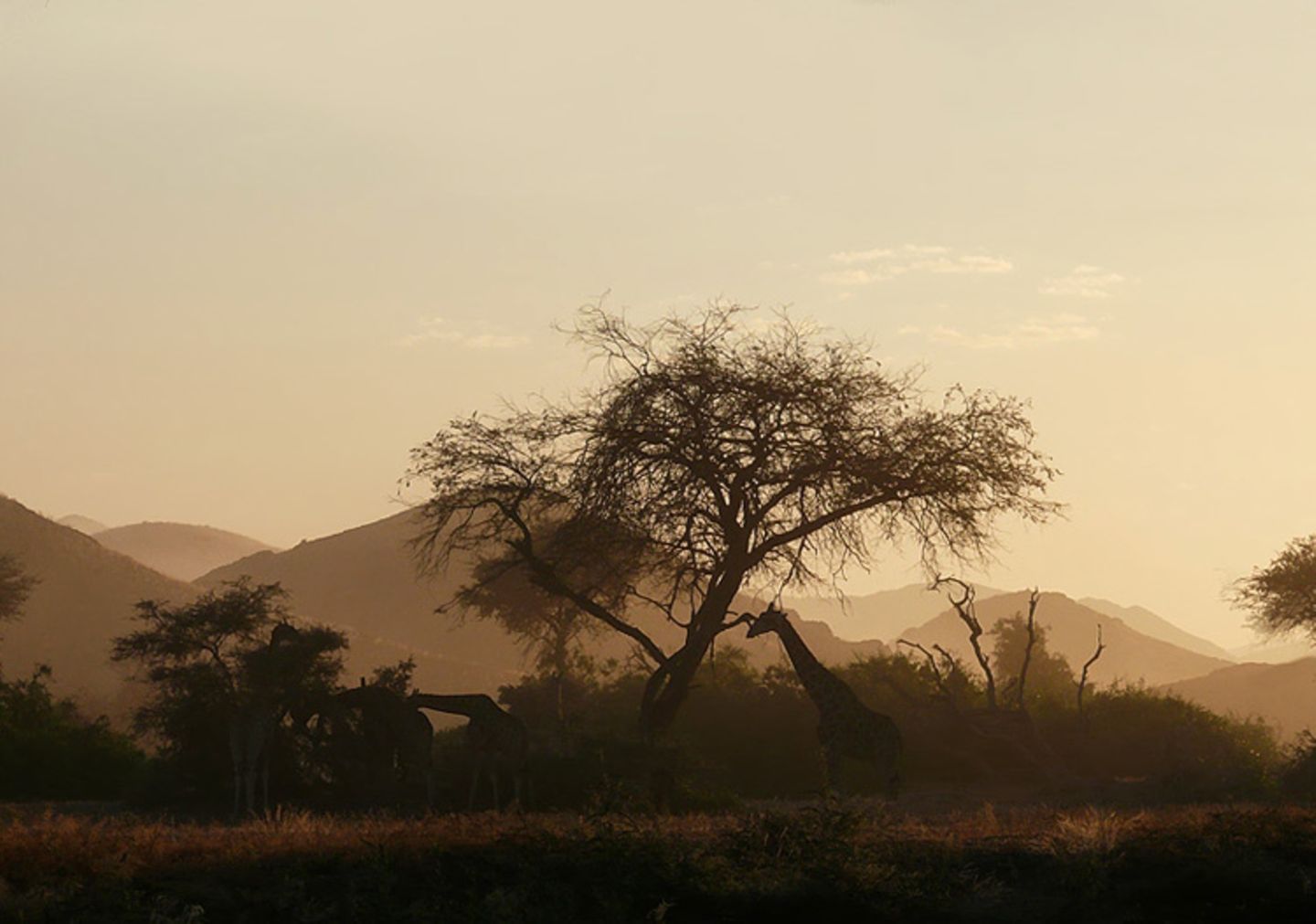 Fotogalerie: Namibias Wildnis - Bild 6