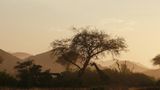 Fotogalerie: Namibias Wildnis - Bild 6
