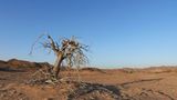 Fotogalerie: Namibias Wildnis - Bild 9
