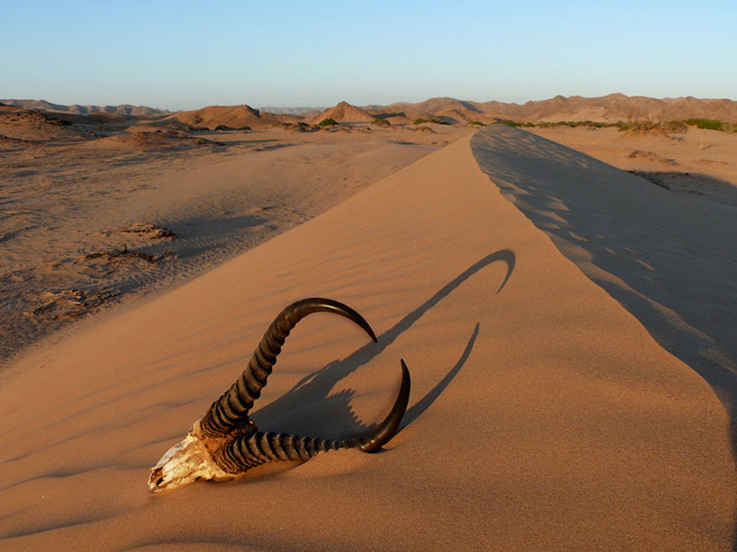 Fotogalerie: Namibias Wildnis - Bild 10