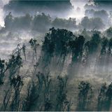 Fotogalerie: Flughunde - Bild 2