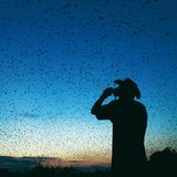 Fotogalerie: Flughunde - Bild 10