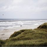 Das User-Foto des Tages - August 2008