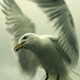 Das User-Foto des Tages - August 2008 - Bild 2