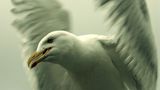 Das User-Foto des Tages - August 2008 - Bild 2