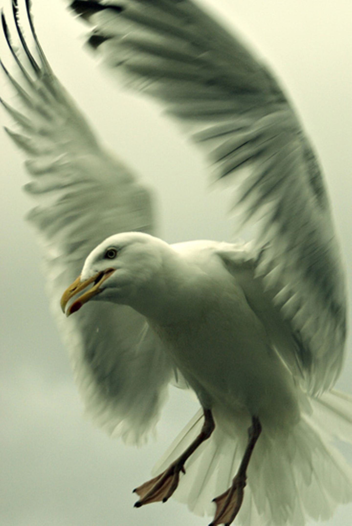 Das User-Foto des Tages - August 2008 - Bild 2