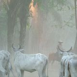 Das User-Foto des Tages - August 2008 - Bild 4