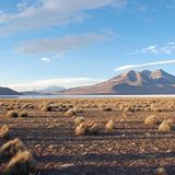 Das User-Foto des Tages - August 2008 - Bild 5