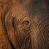 Das User-Foto des Tages - August 2008 - Bild 6