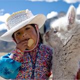 Das User-Foto des Tages - August 2008 - Bild 11