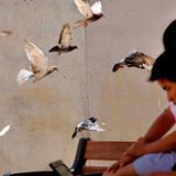 Das User-Foto des Tages - August 2008 - Bild 18