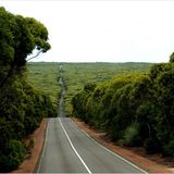 Das User-Foto des Tages - August 2008 - Bild 20