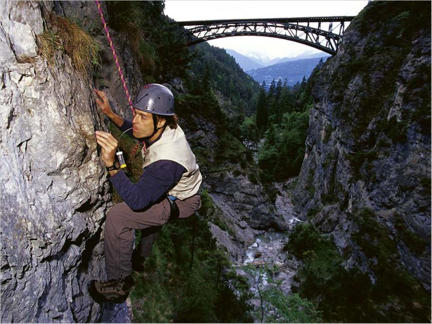 Fotogalerie: Zehn Jahre GEO-Tag der Artenvielfalt - Bild 3