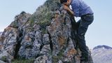Fotogalerie: Zehn Jahre GEO-Tag der Artenvielfalt - Bild 5