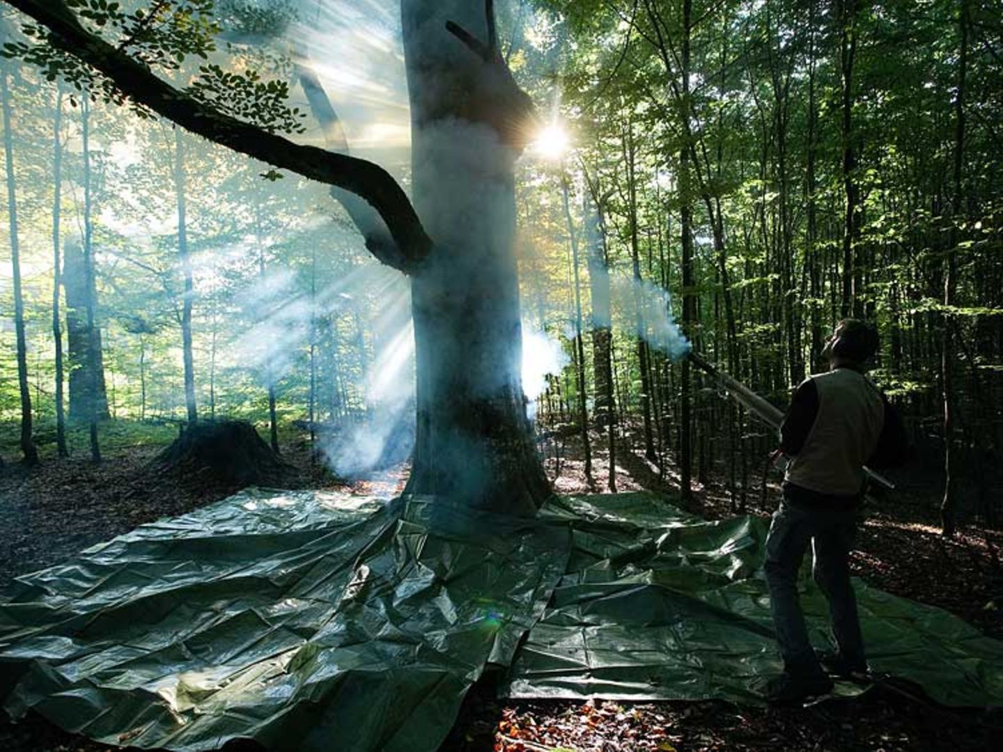 Fotogalerie: Zehn Jahre GEO-Tag der Artenvielfalt - Bild 7