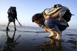 Fotogalerie: Zehn Jahre GEO-Tag der Artenvielfalt - Bild 9