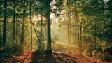 Fotogalerie: Zehn Jahre GEO-Tag der Artenvielfalt - Bild 17