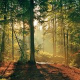 Fotogalerie: Zehn Jahre GEO-Tag der Artenvielfalt - Bild 17