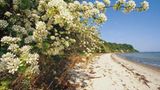 Fotogalerie: Zehn Jahre GEO-Tag der Artenvielfalt - Bild 18