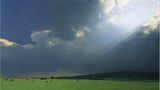 Fotogalerie: Zehn Jahre GEO-Tag der Artenvielfalt - Bild 20